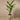 Trees-Artificial Strelitzia Tree 190cm-Bloomr