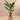 Trees-Artificial Strelitzia Tree 190cm-Bloomr