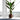 Trees-Artificial Strelitzia Tree 190cm-Bloomr
