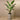 Trees-Artificial Strelitzia Tree 190cm-Bloomr