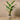 Trees-Artificial Strelitzia Tree 190cm-Bloomr