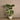 Trees-Artificial Taro Tree <br> 105cm-Bloomr