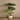 Trees-Artificial Taro Tree <br> 135cm-Bloomr