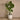 Trees-Artificial Taro Tree <br> 180cm-Bloomr