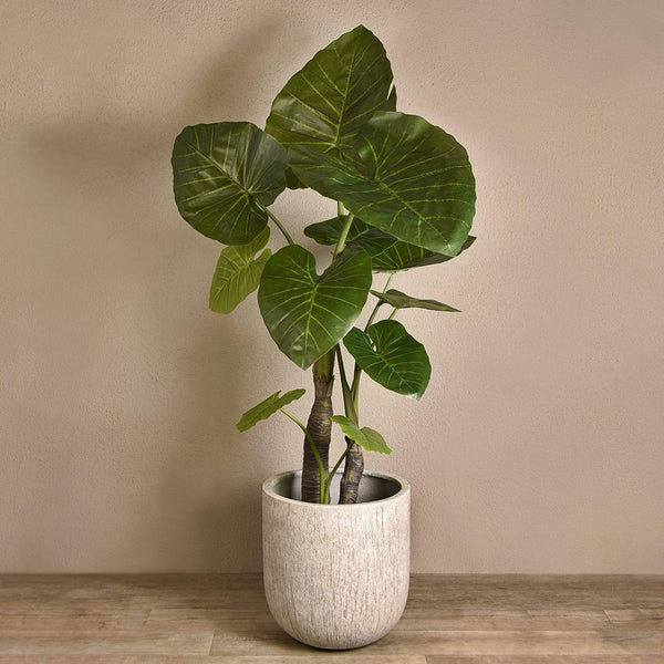 Artificial Taro Tree - Bloomr