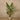 Trees-Artificial Travelers Palm Tree 180cm-Bloomr