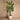 Trees-Artificial Travelers Palm Tree 235cm-Bloomr