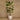 Trees-Artificial Travelers Palm Tree 240cm-Bloomr