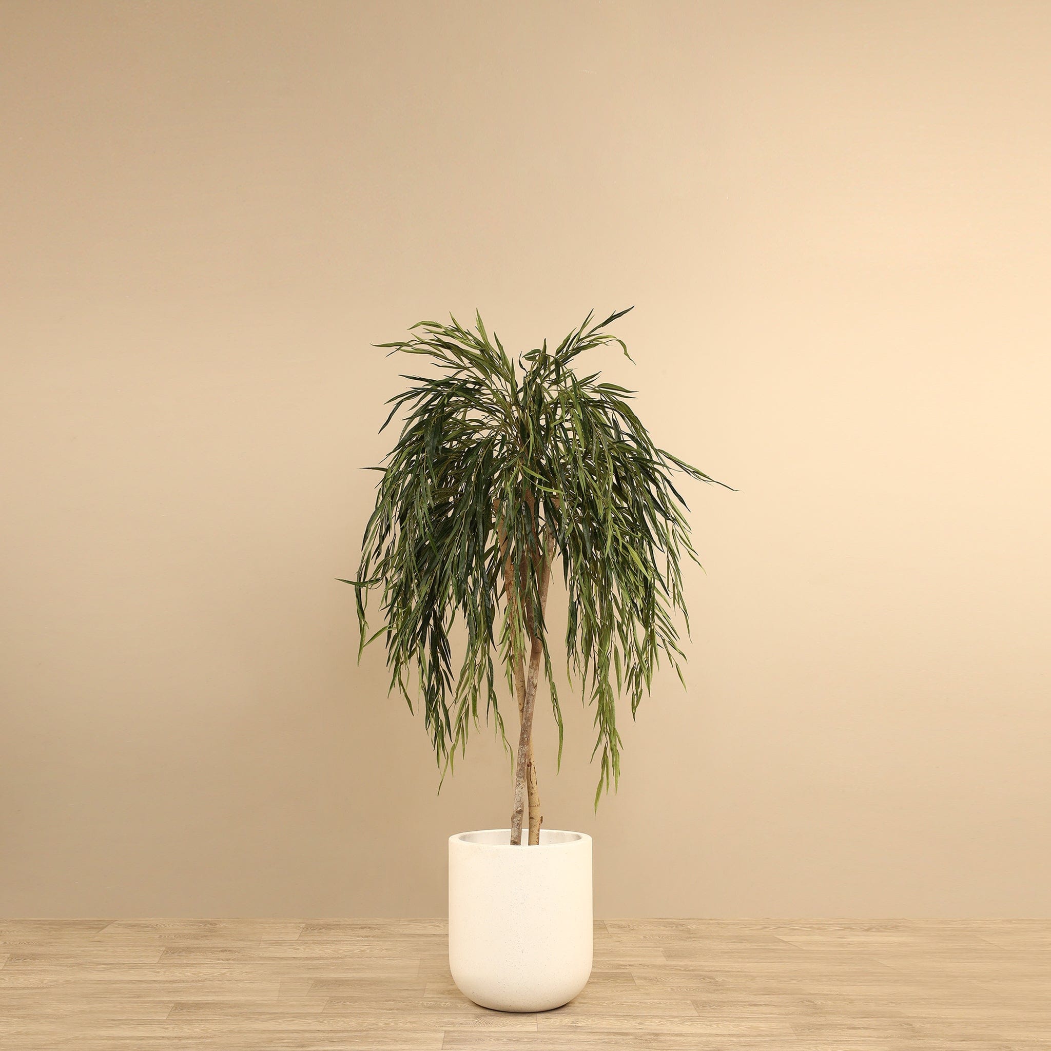 Artificial Willow Tree <br> 150cm - Bloomr