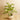 Trees-Artificial Diffenbachia Plant 110cm-Bloomr