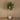 Trees-Artificial Fiddle Leaf Tree <br> 270cm-Bloomr