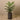 Trees-Kentia Palm <br> 120cm-Bloomr