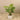 Trees-Artificial Monstera Tree <br> 100cm-Bloomr