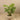 Trees-Artificial Monstera Tree <br> 100cm-Bloomr