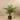 Trees-Artificial Paradise Palm <br> 120cm-Bloomr