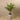 Trees-Artificial Paradise Palm 120cm-Bloomr