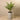 Trees-Artificial Paradise Palm <br> 120cm-Bloomr