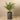 Trees-Artificial Paradise Palm <br> 120cm-Bloomr