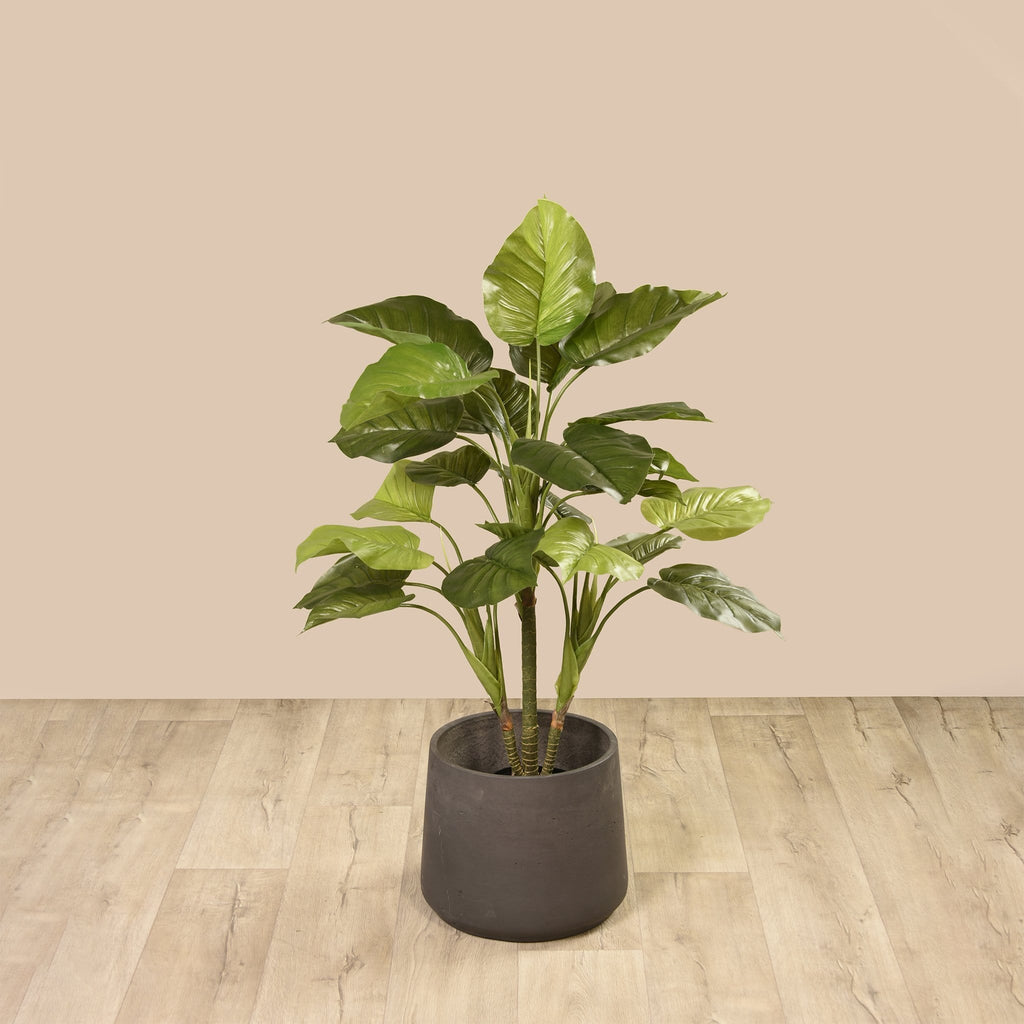 Artificial Rhaphidophora Tree - Bloomr