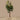 Trees-Artificial Rubber Plant <br> 240cm-Bloomr