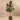 Trees-Artificial Rubber Plant <br> 180cm-Bloomr