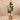 Trees-Artificial Rubber Plant 150cm-Bloomr
