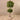 Trees-Artificial Shikiba Tree <br> 150cm-Bloomr