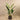 Trees-Artificial Strelitzia Palm 160cm-Bloomr