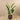 Trees-Artificial Strelitzia Palm 160cm-Bloomr