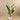 Trees-Artificial Strelitzia Palm 160cm-Bloomr