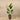 Trees-Artificial Strelitzia Palm 160cm-Bloomr