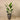 Trees-Artificial Strelitzia Palm 160cm-Bloomr