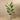 Trees-Artificial Strelitzia Palm 160cm-Bloomr