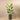 Trees-Artificial Strelitzia Palm 160cm-Bloomr