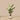 Trees-Artificial Strelitzia Tree 155cm-Bloomr