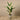 Trees-Artificial Strelitzia Tree 155cm-Bloomr