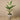 Trees-Artificial Strelitzia Tree 155cm-Bloomr