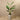 Trees-Artificial Strelitzia Tree 155cm-Bloomr