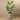 Trees-Artificial Strelitzia Tree 155cm-Bloomr