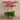 Flowers-Artificial Orchid Arrangement-Bloomr